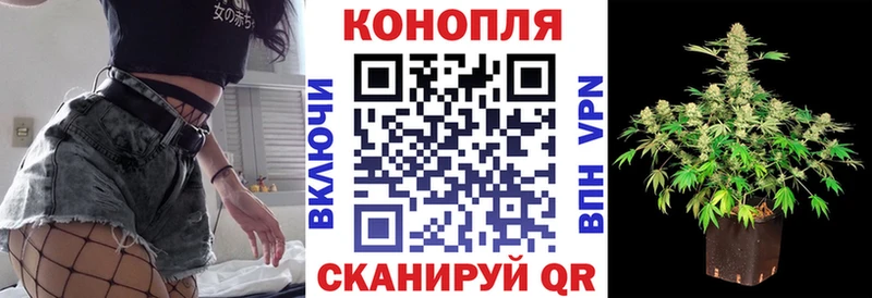 Конопля план  Суровикино 